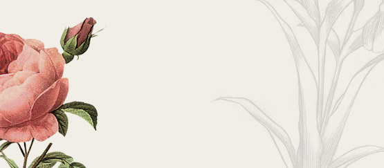 Browse the marketplace